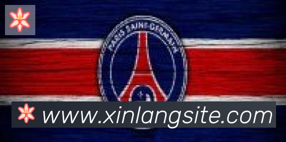 新浪体育合作伙伴